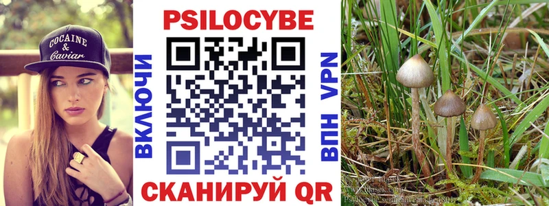 маркетплейс как зайти  Медногорск  Псилоцибиновые грибы Magic Shrooms 
